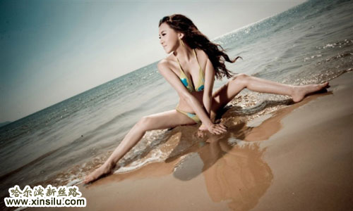 ��ģ������