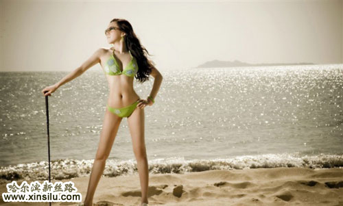 ��ģ������