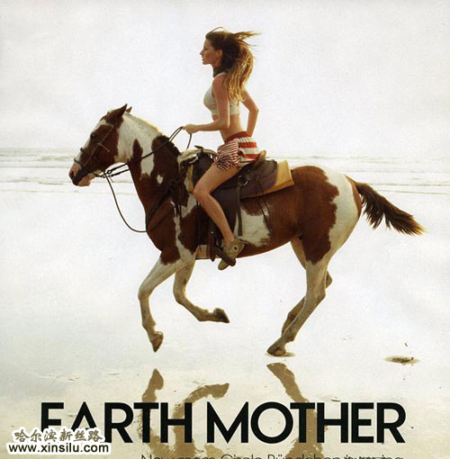 ��ģ���������