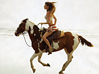 ��ģ��������������������Vogue��