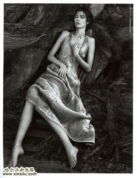 ��ģ����