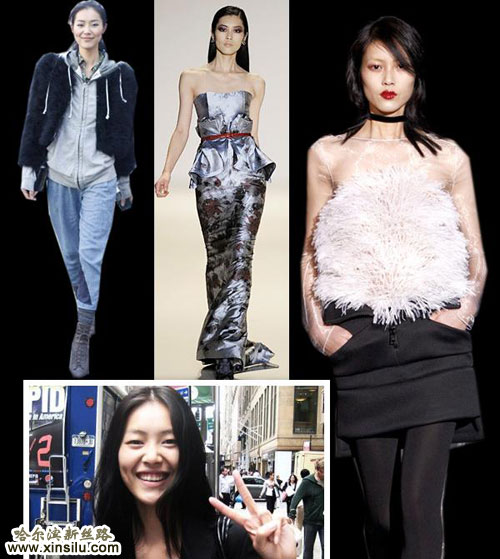 �����������ʳ�ģ