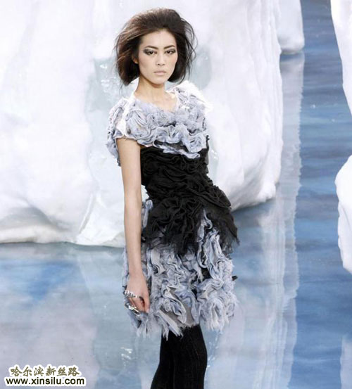 �����������ʳ�ģ