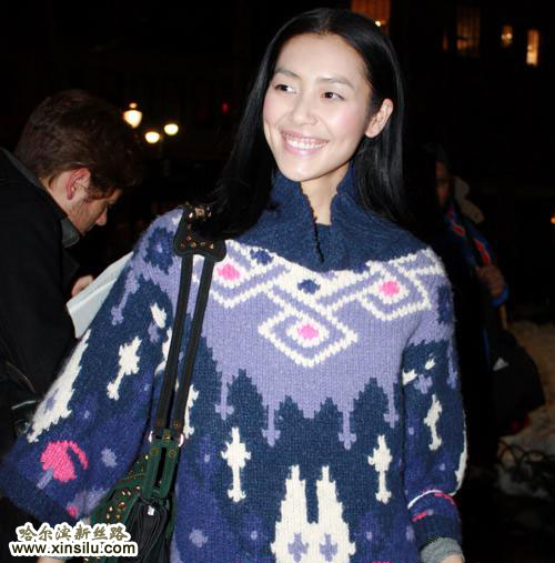 �����������ʳ�ģ