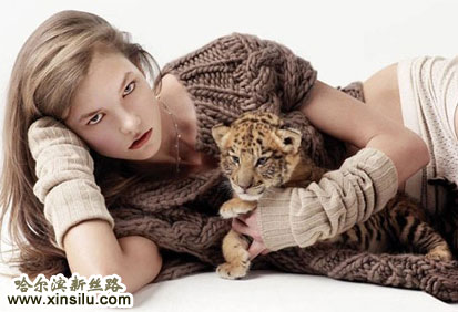 ��ģ���д��