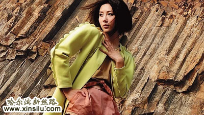 2010������չģ��