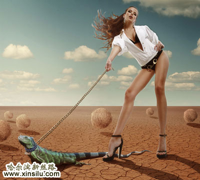 �����鶹����