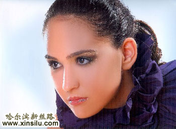 ��ģ���ȿ�