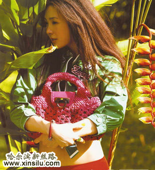 ������ģ���ݡ������졷