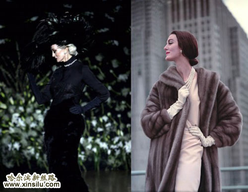 79��������ģ