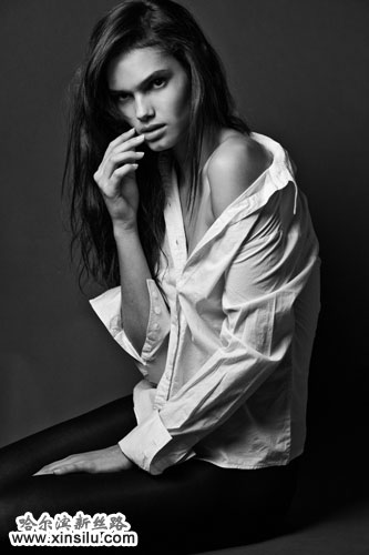 ������ģ