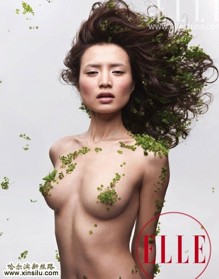 ����Я����ģ��ȫ�����