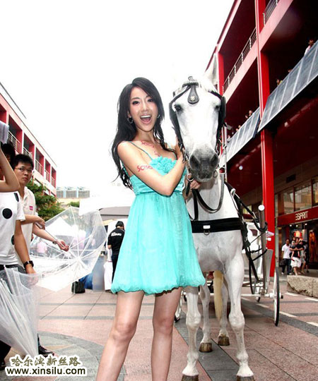 ��ģ����