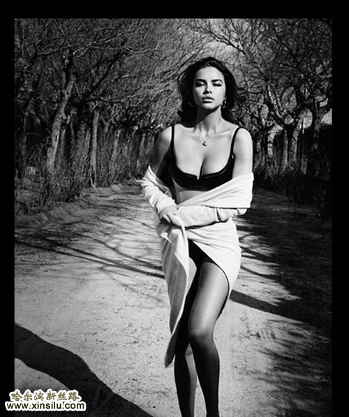 ������ģ���������Ըг���