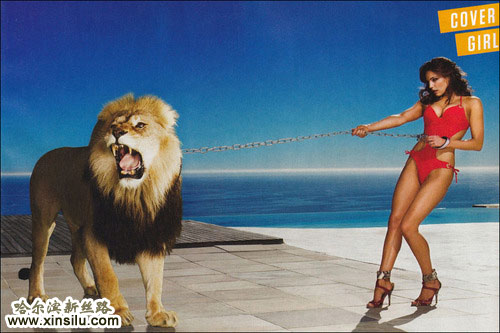 ���򡤲�³��