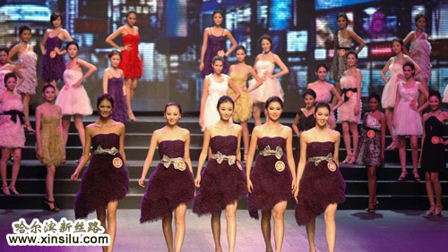 2010�����޳���ģ�ش���