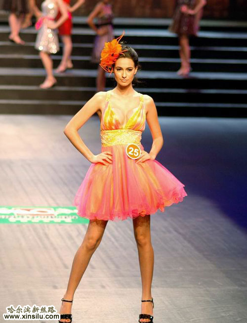 2010�����޳���ģ�ش���