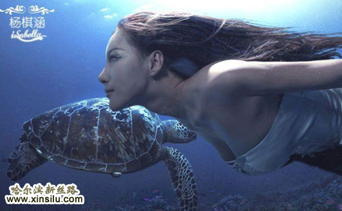 ��С������