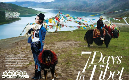 ��ģ�ŷ�������ͼ