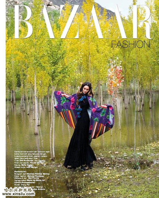 ��ģ�ŷ�������ͼ