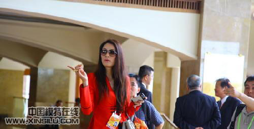 ����T̨ģ��������