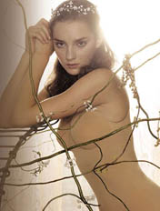 ����ϵ������