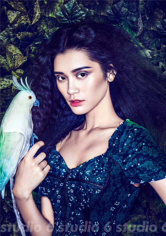 ��ģ������������ױ��Ƭ