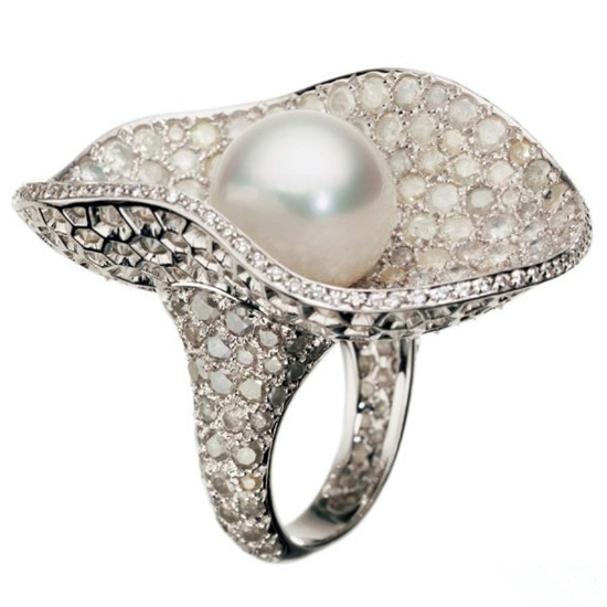 ����Ϧ ������������鱦