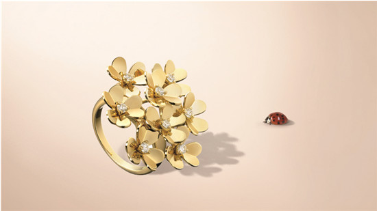 ����ű��ݳ޻����鱦ϵ��