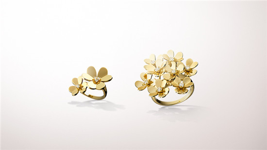 ����ű��ݳ޻����鱦ϵ��