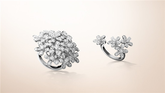 ����ű��ݳ޻����鱦ϵ��