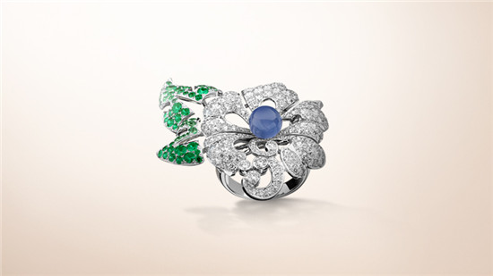 ����ű��ݳ޻����鱦ϵ��