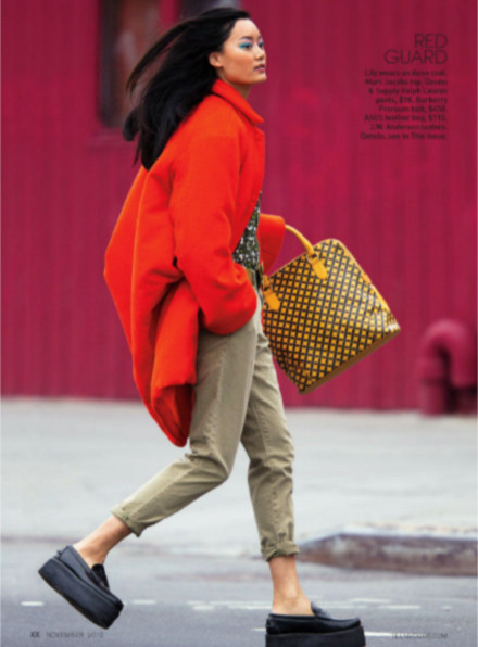 ������ģ���ǻ�������־��Ƭ