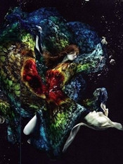 �λ�ˮ��&nbsp;�����������